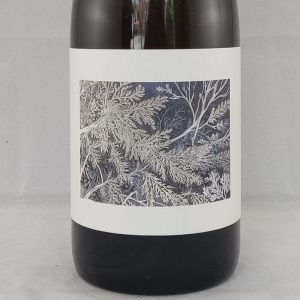 COLLABORATION - Cyclic Beer Farm (2023)